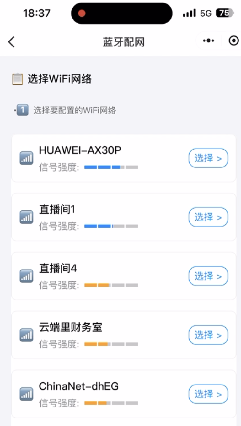 image-20250804165044596